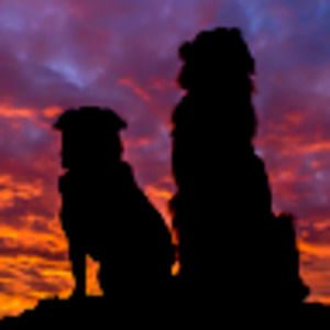 Meet your Posher, Lillian